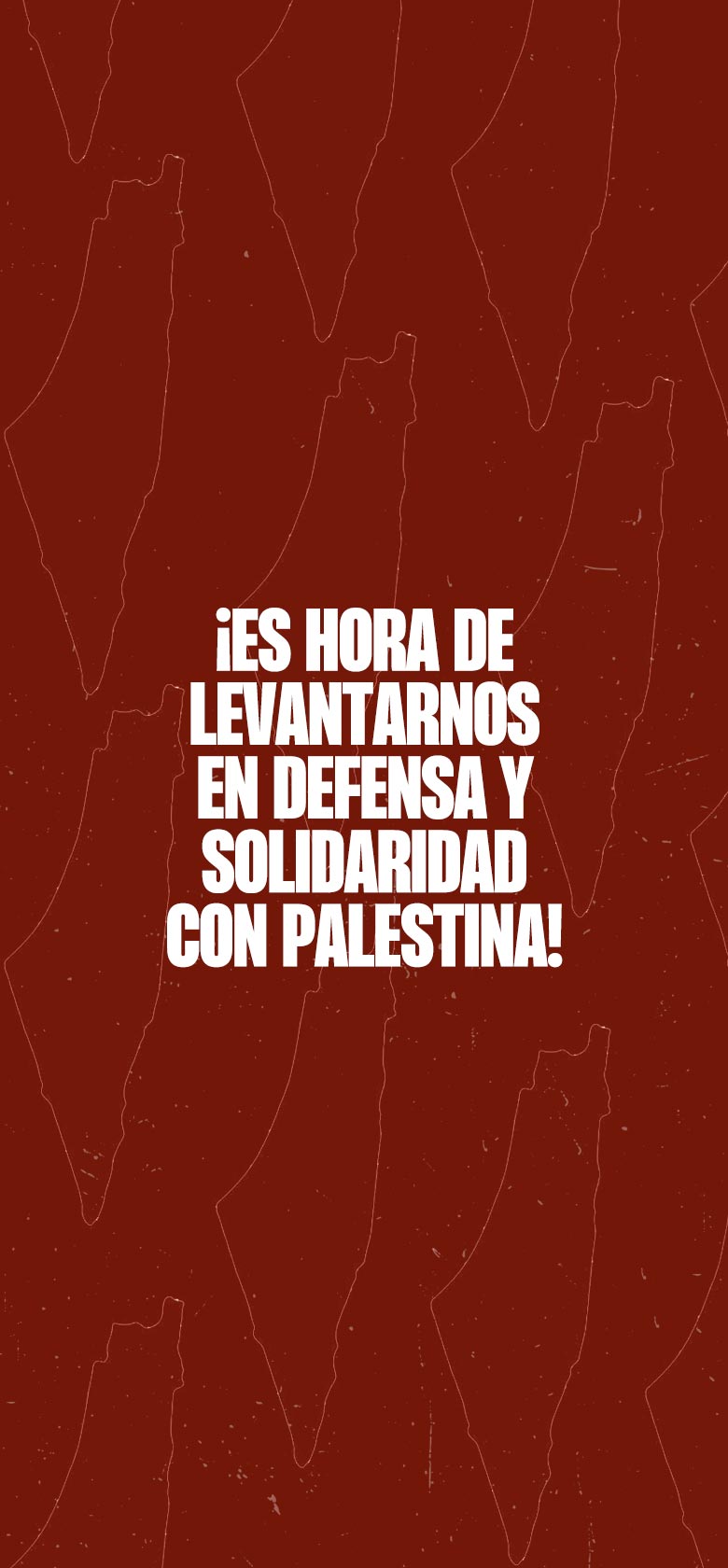 Día Internacional de Solidaridad con Palestina